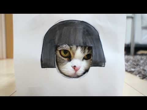 いろいろな髪形とねこ。-Various hairstyles and Maru.-