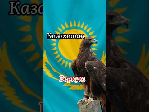 Национальный животный разных