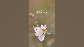 ايات قرانية قصيرة #تلاوة خاشعة تريح القلب #قرآن #خشوع #آية