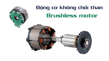 Cấu tạo và nguyên lý hoạt động của động cơ không chổi than (Brushless motor)