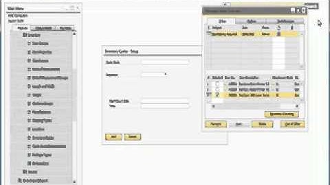Inventory Counting in SAP Business One 9 0