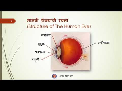 Human Eye (मानवी डोळा) | Class 10 Science | Marathi