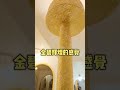 帶大家開箱基隆知名阿樂哈大飯店，歐式裝潢該如何改造？│租寓ZUYOU