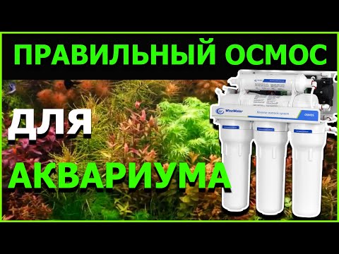 Видео: Что такое осмосная вода?