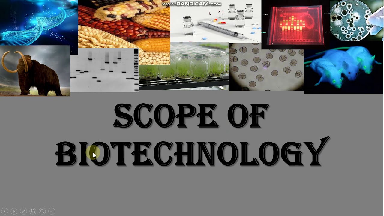 phd in biotechnology scope