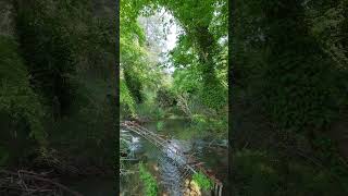 4K After the Flood 🌧️ | Broken Bridge & Muddy Rushing River | UHD Silent Reality Landscape #Shorts