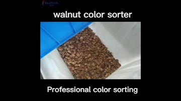 walnuts color sorting nuts color sorter supplier