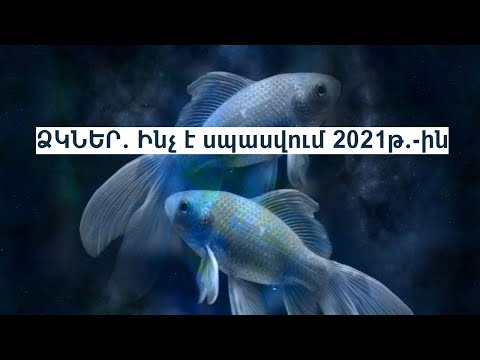 Video: Աստղագուշակ 2021 թ. Ձուկ