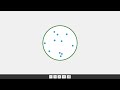 CUT-E Monitoring Ability Test - Cadet Pilot Aptitude Test