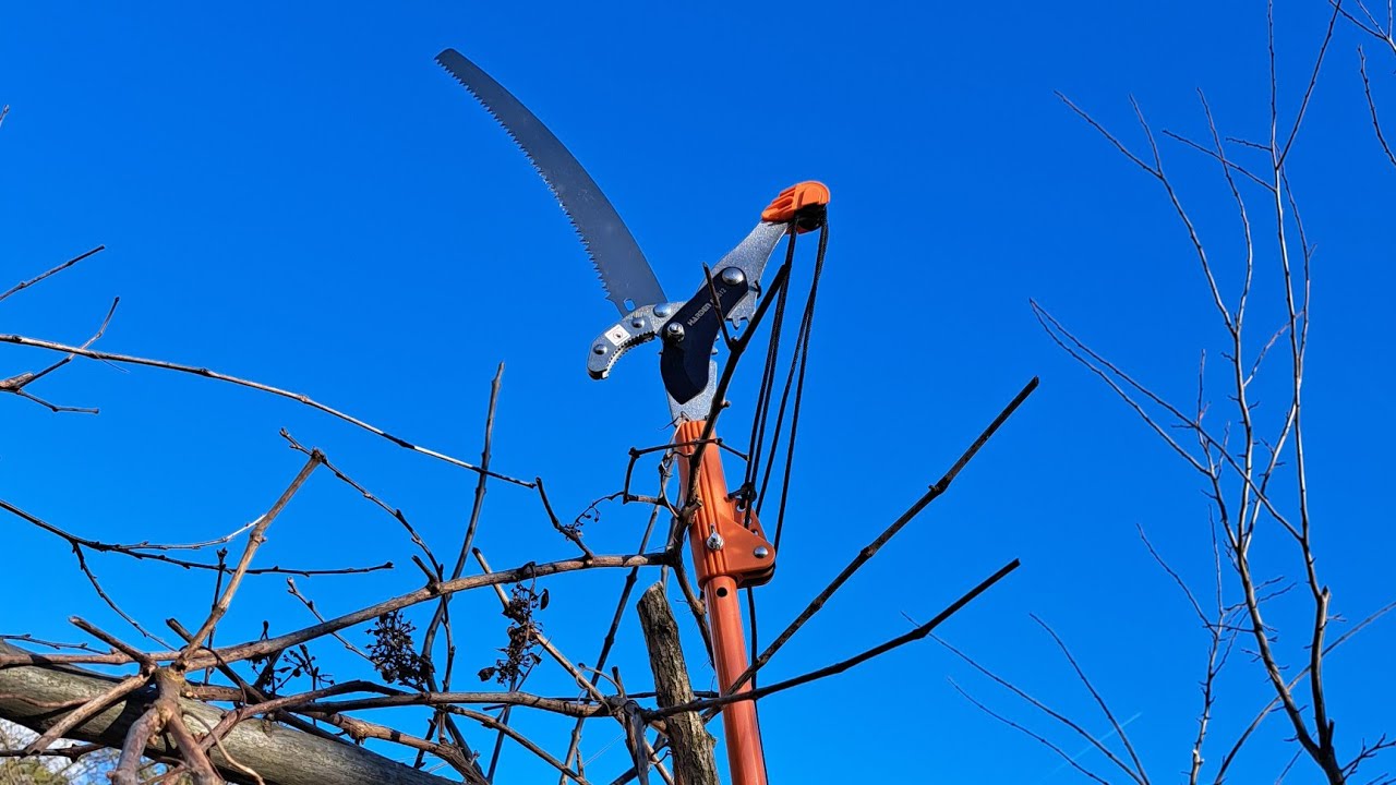 Čelične makaze sa teleskopom za orezivanje voćki
