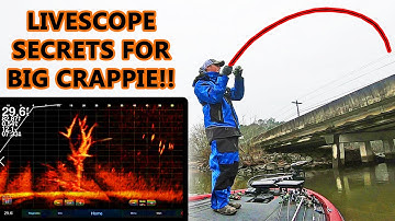 Crappie Fishing SERCRETS! Tips for Jigging with GARMIN LIVESCOPE! (BIG CRAPPIE)