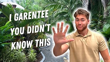 5 BEST Tropical Plants That SURVIVE Florida Freezes