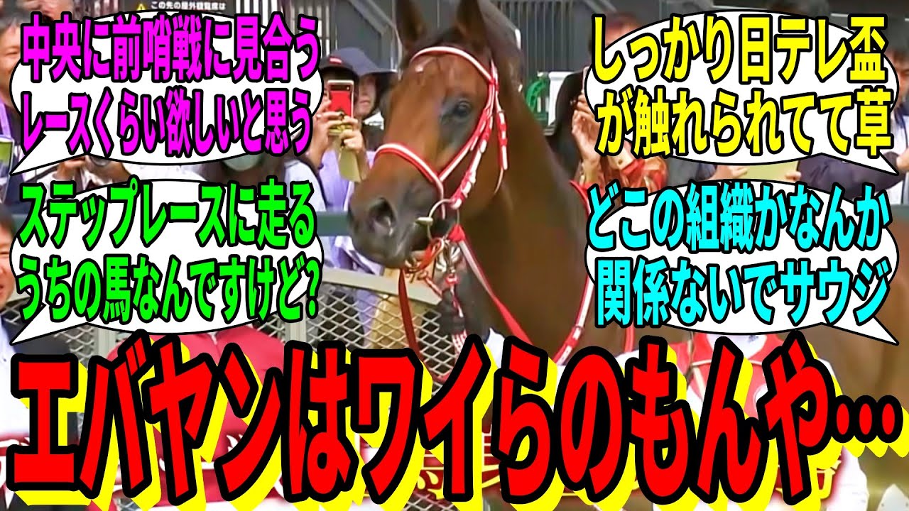 【競馬の反応集】「エバヤン、JRAとNARで親権争いに発展してしまう」に対する視聴者の反応集
