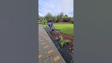 Моя первая малоуходная клумба🔥😍