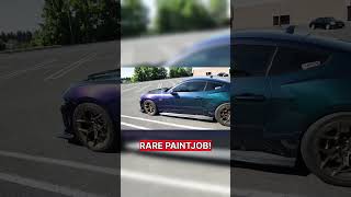 INSANE Rare 1 of 50 Mustang! #mustang#mustangrtr #cars #automotive #carvlog