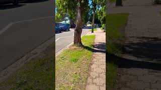 Quiet Clean and beautiful life in Australia Adelaide City #viral #travel #shorts