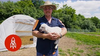 De Mina De Carbón A Granja Orgánica