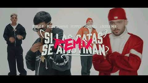 SI LA GATA SE AMOTINAN REMIX -Peipper X Doblep X Jombriel X Pedro Sampaio X LocuraMix(Español latino