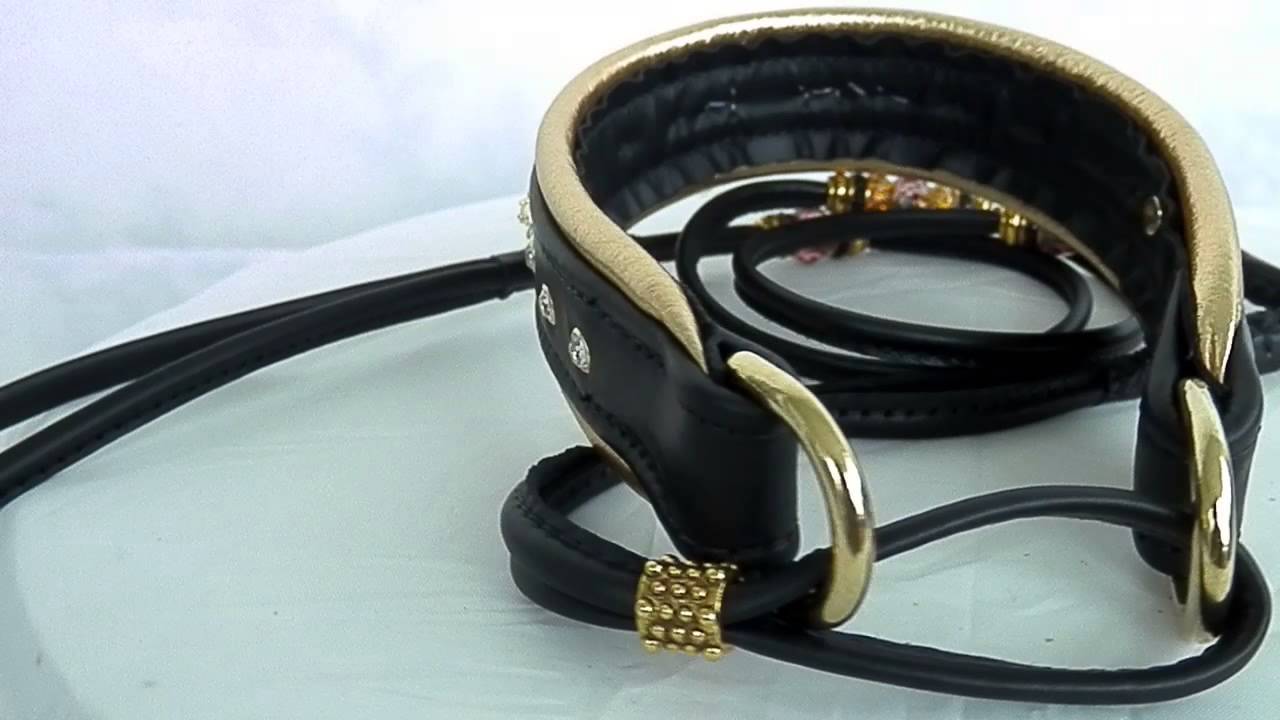 dog show lead,diamond dog collar,leather show lead ,leather lead and