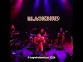 Blackbird merel koman blackbird music stay or go #short 3