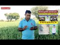 केसा कलयुग आ गया अब इंसान का क्या होगा#new #marwadilife #farming #post #rajasthaniclture #latestnews