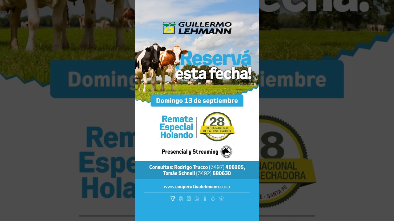 Short Destacado Remate Holando
