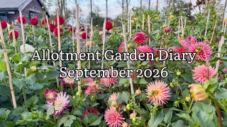 Allotment Garden Diary September 2026, Allotment Update September 2026