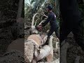 test siksa new west 257!