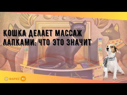 Кошка делает массаж лапками: что это значит