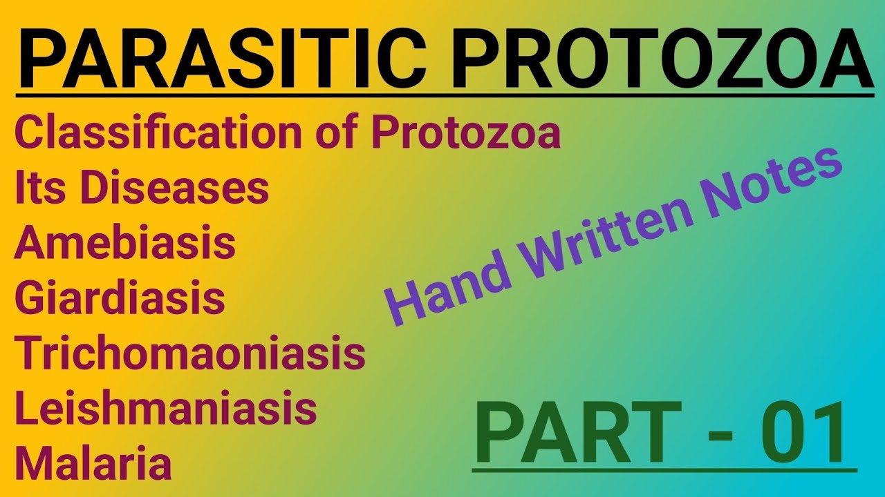 ||Parasitic protozoa||parasitic protozoa and human disease||parasitic ...
