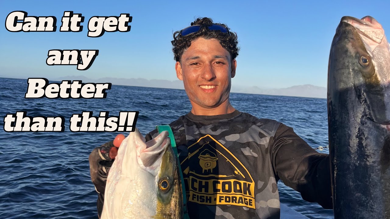 Желтохвост на мысе Кейп-Пойнт в лучшем виде‼️(на спиннинге)18/01/2025