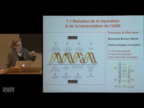 Voir encore. La restauration visuelle en perspectives (7) - José-Alain Sahel (2015-2016)