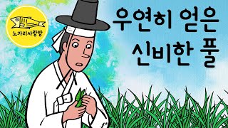 EP.180 우연히 얻은 신비한 풀 (숲에서 발견한 풀이 가진 놀라운 능력을 알아낸 어느 임생의 이야기) 민담, 야담, 전설. 노가리 사랑방