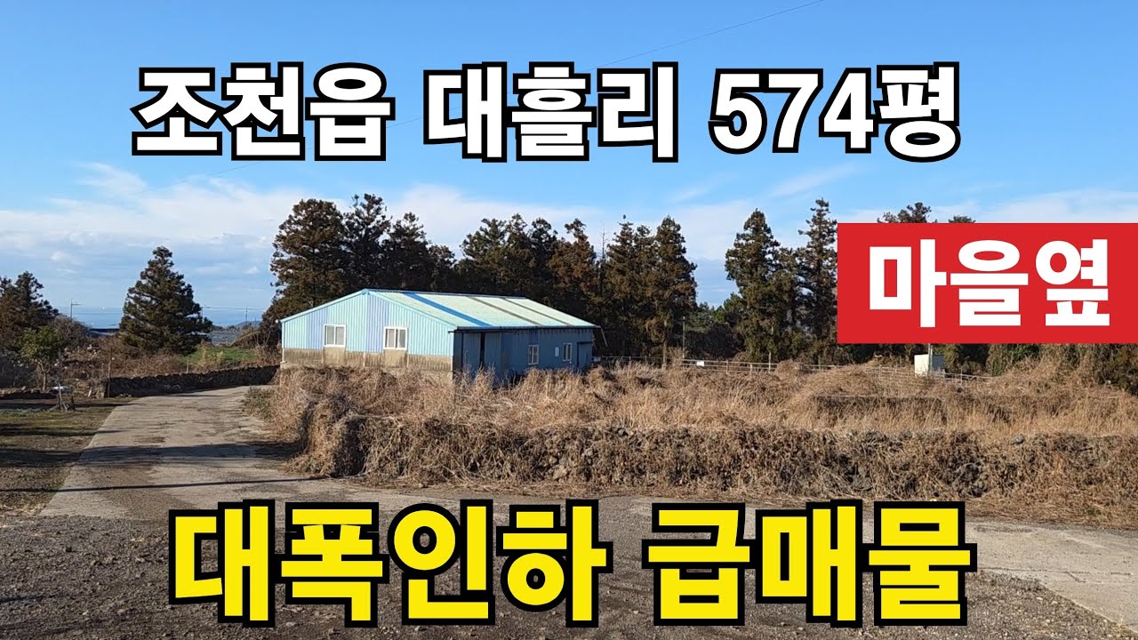 제주시 조천읍 대흘리 작은 마을옆 754평 010 4436 0401 
