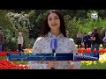 В Никитском ботаническом саду 12 ый парад тюльпанов