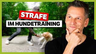 Schaden Korrekturen der Beziehung? Dieses Thema SPALTET die HundeCommunity!