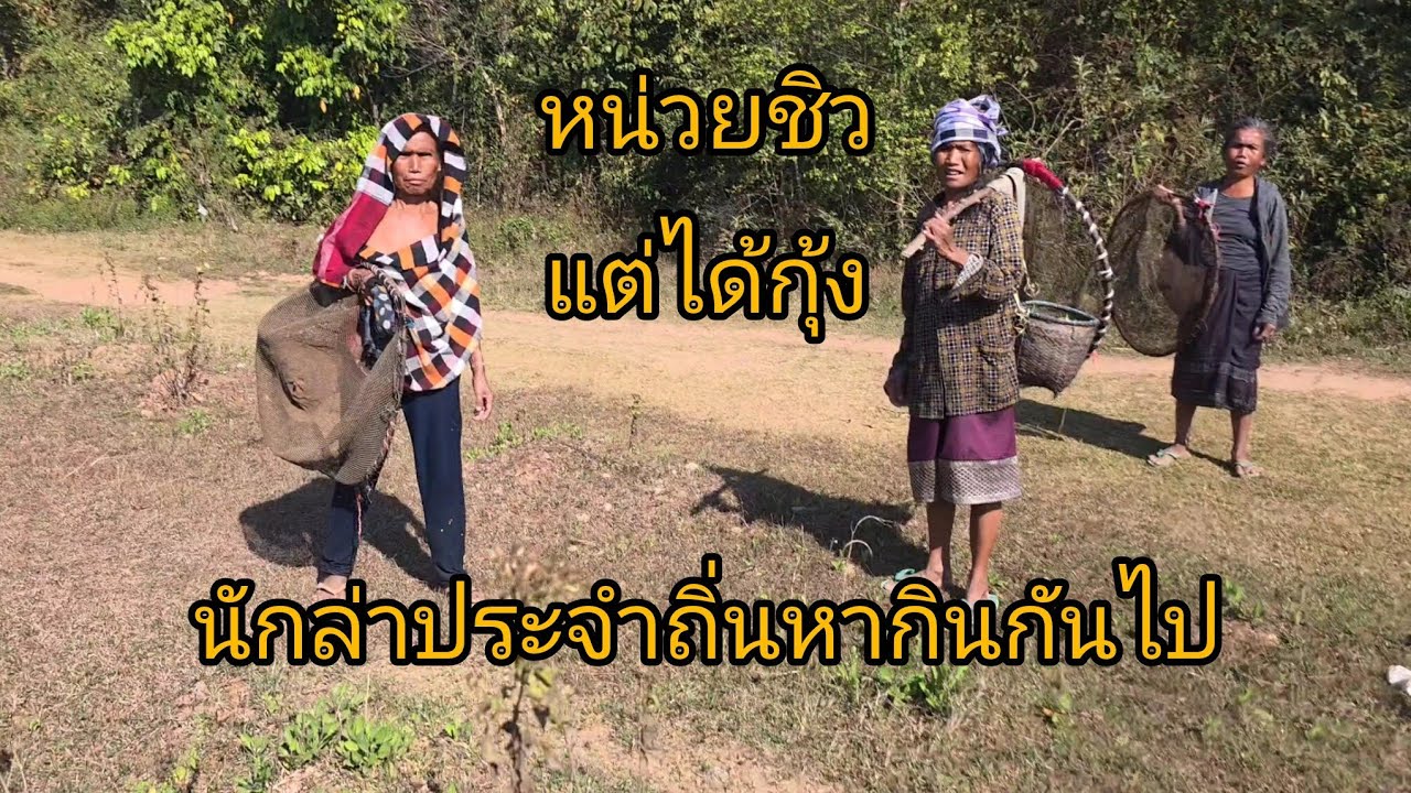 #วิถีชาวบ้าน สุ้ออกล่าหากินกันไป #บรรยากาศการเดินทาง #เที่ยวลาว #แขวงสะหวันนะเขต #สปปลาว #food #laos