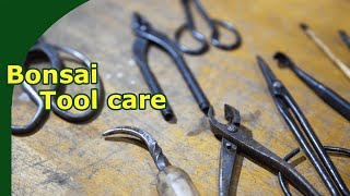 Bonsai tool maintenance