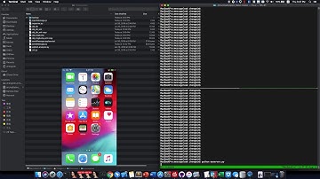 Remotely Stole Files Through iMessage on iOS 12.3.1 (CVE-2019-8646 by natashenka)