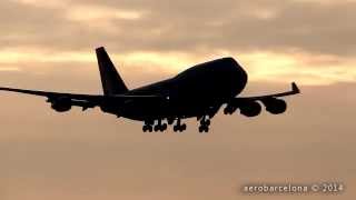 Full Hd Safari Connection 747-400Bcf Sunrise Landing Amsterdam Schiphol