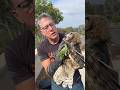 My first time with an Owl 🦉 #owl #wildliferescue #youtube #nature #hope #save