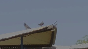 Manual focus lg v60 using power director and onboard video editor.