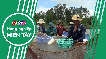 Toàn cảnh Nông nghiệp - 3/3/2025 | Nông nghiệp Miền Tây