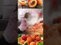 Apricots Benefits During Pregnancy