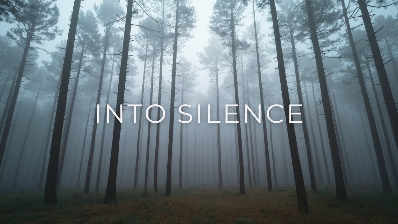 İnto Silence • Violin & Cello for Deep Sleep & Focus