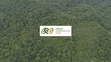 What is the Forest Conservation Fund?