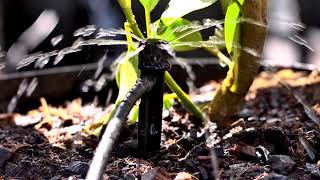 32 M IRRIGATION SHRUBBLER