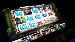 Hunter's Fire bonus play opap