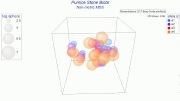 Animated MDS Plot (produced using PRIMER 7)