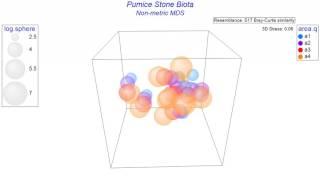 Animated MDS Plot (produced using PRIMER 7)